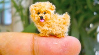 20 Smallest Dog Breeds In The World [upl. by Wie]