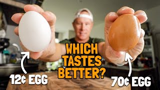 The difference between store bought eggs vs free range eggs [upl. by Alfie]