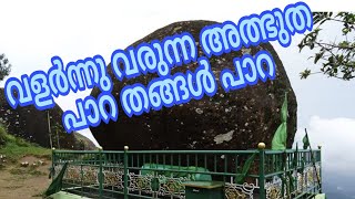 Thangal para Vagamon  Kolahalamedu  തങ്ങൾ പാറയുടെ മുകളിലുള്ള അത്ഭുതം BismiTravelertrendingvideo [upl. by Kohsa]