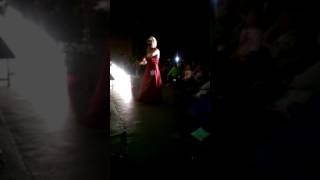 Womanless Pageant 2015 Josh VIDEO1025 [upl. by Darnok]