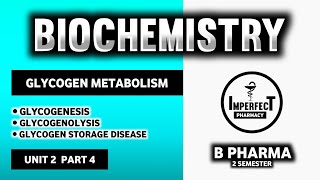 Glycogen Metabolism Pathway  Glycogenesis  Glycogenolysis  Glycogen Storage Disease  B Pharma [upl. by Baram]