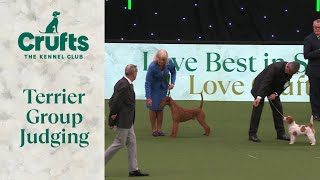 Terrier Group Judging  Crufts 2024 [upl. by Aimo]