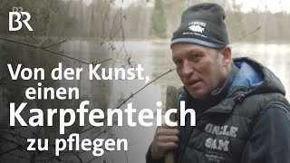 Teichwirtschaft im Winter Fischzucht mit Karpfen Forellen amp Zander  Unter unserem Himmel  BR [upl. by Maddy155]