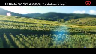 La Route des Vins dAlsace [upl. by Maynord]