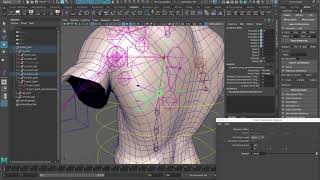 Advanced ShoulderClavicle Tutorial Using Aim Constraints [upl. by Nosoj833]