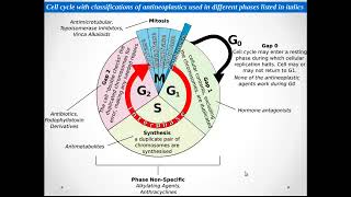 ANTI CANCER PHARMACOLOGY [upl. by Aikrahs]