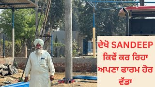 SANDEEP GROWING HIS FARM  INCREASING THE SHED  AULAKH DIARY FARM  RAMPURA PHUL  BATHINDA [upl. by Mae]