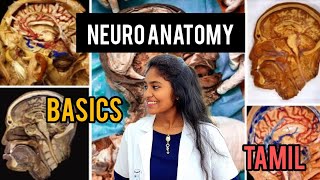 neuroanatomy basics in tamil medical essential CNSPNS brain [upl. by Oemac502]