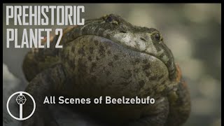 Prehistoric Planet 2 all scenes of Beelzebufo [upl. by Oilejor]