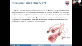 Angiogenesis [upl. by Lund]