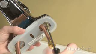 How to Replace Your Bathroom Faucet  PlumbCraft How To Series with Penny PlumbCraft [upl. by Liliane]