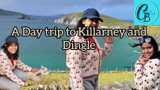 Trip to Killarney and Dingle corkblend travel travelvlog ireland irelandtourism nature europe [upl. by Timoteo]