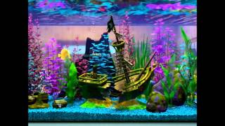 Finding Nemo Virtual Aquarium Shipwreck Day [upl. by Donielle]