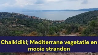 Griekenland  Chalkidiki Mediterrane vegetatie en mooie stranden [upl. by Gentry]