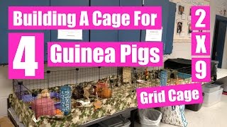 Building A Cage For 4 Guinea Pigs [upl. by Korwun234]