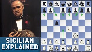 Why You Should Play The Sicilian Defense  Chess Opening Tutorial [upl. by Edmonda]