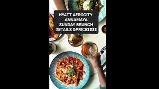 HYATT SUNDAY BRUNCH AEROCITY DELHI ANNAMAYA BY ANDAZ food brunch sunday hyatt aerocity delhi [upl. by Akyre]