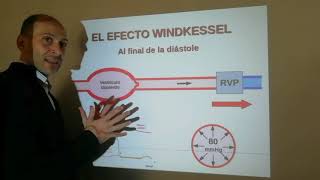 El efecto Windkessel y la presión arterial durante el ciclo cardíaco [upl. by Ross]