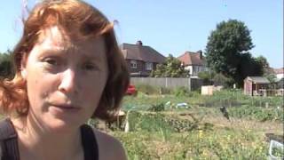 Picking your gooseberries  Claires Allotment part 113 [upl. by Yrocej]