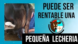 PUEDE SER RENTABLE UNA FINCA PEQUEÑA [upl. by Ahsenat]