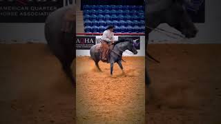 DEEPER SHADE OF BLU2016 Stallion 2024 NRCHA Cowboy Class high rein amp cow score [upl. by Adam]