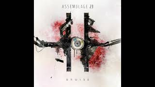 Assemblage 23  Otherness  Bruise [upl. by Nilloc879]