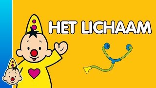 Het lichaam  Leren met Bumba [upl. by Akihdar]