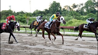 Conspirador PR  Gana Primera Clasificatoria Por Puerto Rico Al Clásico Del Caribe [upl. by Hedy]