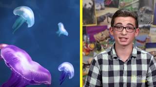 What is Bioluminescence  Nat Geo Kids Deepsea Creatures Playlist [upl. by Ettenwahs]