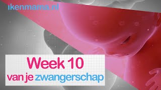 10 weken zwanger  ikenmamanl [upl. by Worrad]