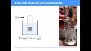 KAC324  Electrochemistry Standard Hydrogen Electrode [upl. by Joleen96]