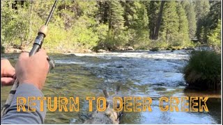 Trout Fishing At Deer Creek In Beautiful Tehama County Back to Basics [upl. by Brynne926]