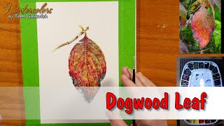 Traditional Watercolors  Dogwood Leaf [upl. by Fergus76]