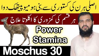 Moschus homeopathic medicine in hindi  Kasturi ke fayde  Moschus 200  Moschus 30 [upl. by Jeremiah954]