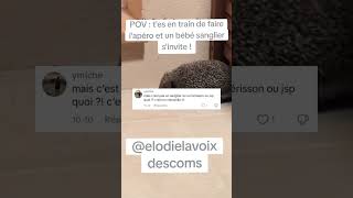 Commentaires TikTok chantés par IA  Un marcassin de qualité 🦔 [upl. by Bottali292]