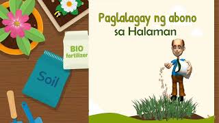 EPP 4 AGRICULTURE Paglalagay ng Abono sa Halaman [upl. by Huntington]