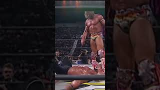 HOGAN V WARRIOR 2 [upl. by Yelir]