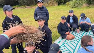 Year 4 Shorebirds Excursion to Kurnell [upl. by Yntruoc]