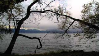 Trudelies Leonhardt plays Schubert Andantino from Sonata D 959 [upl. by Asilehc]