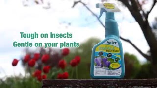 Safer® Brand Organic End ALL™ With Neem Oil Insect Killer [upl. by Lemrej454]