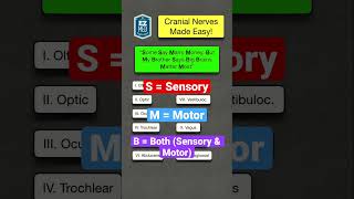 🔥 How to Remember Cranial Nerve Functions in 1 MINUTE Nursing Mnemonic Made Easy [upl. by Nlycaj908]