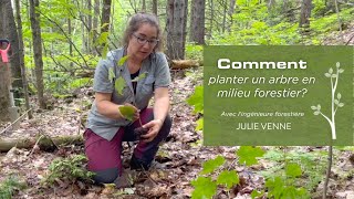 Comment planter un arbre en milieu forestier [upl. by Gillan]