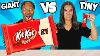 BIG VS TINY FOOD CHALLENGE [upl. by Eresed]