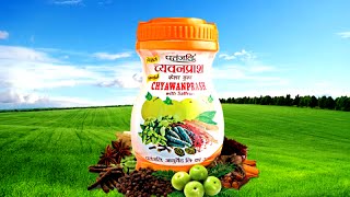 Patanjali Chyawanprash  Product by Patanjali Ayurveda [upl. by Adnilec]