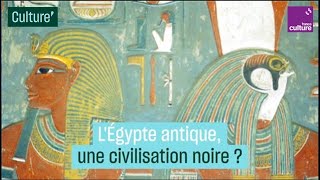 LÉgypte antique une civilisation noire  La thèse controversée de Cheikh Anta Diop [upl. by Ettelegna]