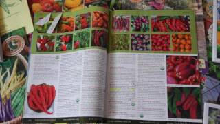 Buying Vegetable Seeds and Seedlings Best Methods [upl. by Mirak]