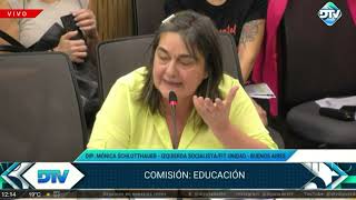 En defensa del presupuesto educativo  Diputada Schlotthauer  Izquierda Socialista FITU [upl. by Arob]