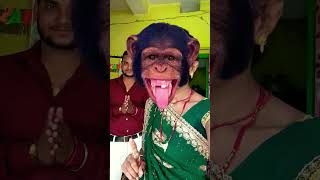 Bandar mama pahan pajama 💥💥💥 trending funny monkey [upl. by Nivrek]