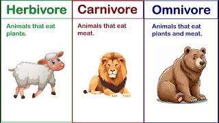 Herbivorous Omnivorous and Carnivorous Animals  Types Of Animals  Animal Kingdom [upl. by Peale642]