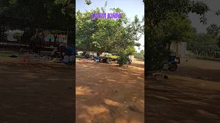 Gutta kinda in Kondagattu ytshorts youtubeshorts viralvideo subscribe [upl. by Aikem]